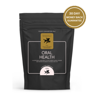 Oral Health