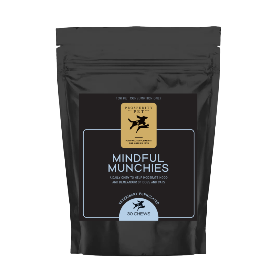 Mindful Munchies